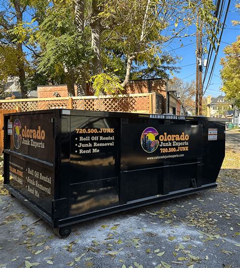 dumpster rental|Get a Dumpster Rental from the Experts.